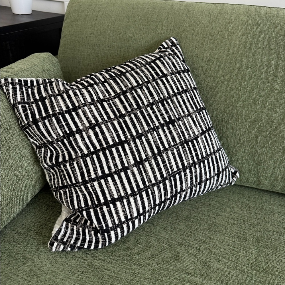 CB2 Black and White Pillow Cover + Down Alternative Pillow Insert 18x18